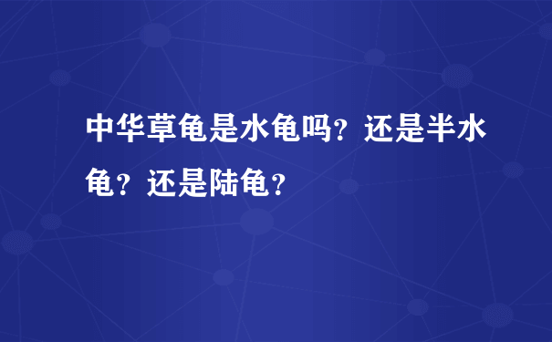 中华草龟是水龟吗？还是半水龟？还是陆龟？