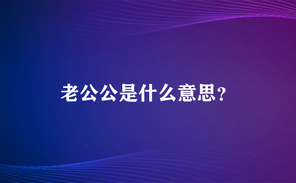 老公公是什么意思？