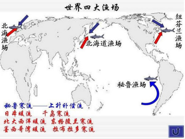 北海渔场的世界四大渔场