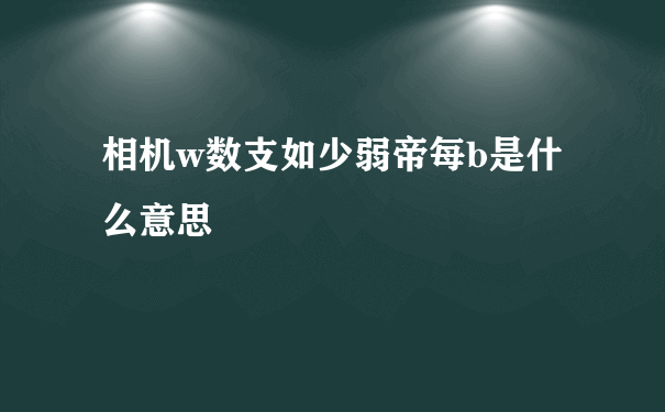 相机w数支如少弱帝每b是什么意思