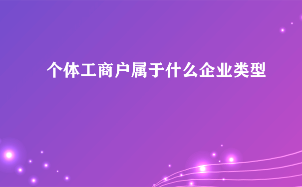 个体工商户属于什么企业类型