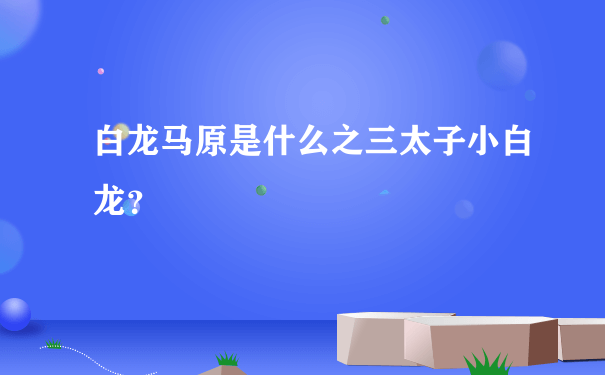 白龙马原是什么之三太子小白龙？