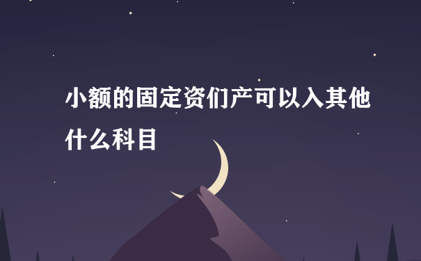 小额的固定资们产可以入其他什么科目