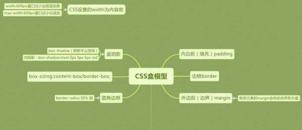 CSS中margin和padding的区别