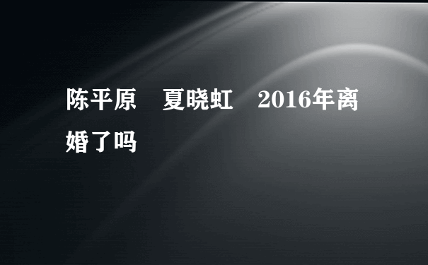 陈平原 夏晓虹 2016年离婚了吗