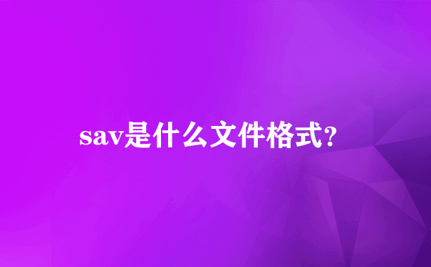 sav是什么文件格式？