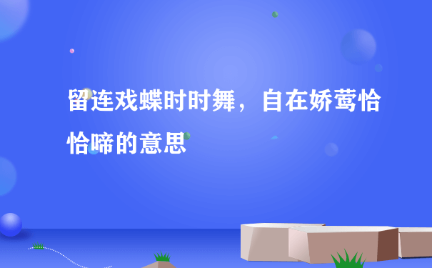 留连戏蝶时时舞，自在娇莺恰恰啼的意思