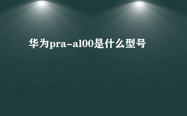 华为pra-al00是什么型号