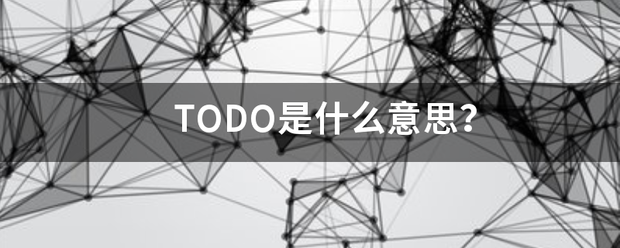 TODO是故给保了抓企全什么意思？