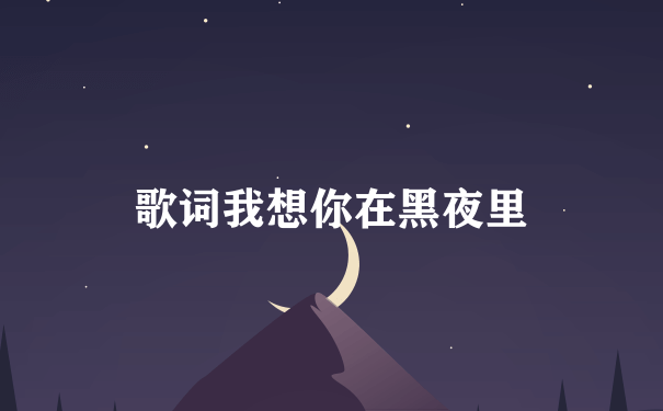 歌词我想你在黑夜里