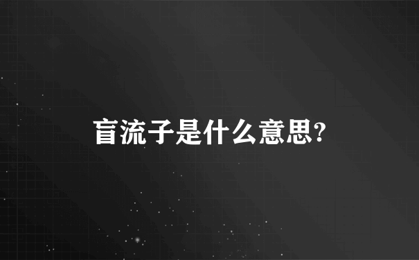 盲流子是什么意思?