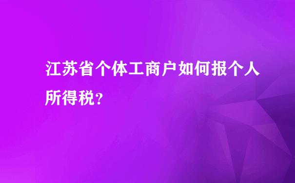 江苏省个体工商户如何报个人所得税？