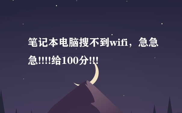 笔记本电脑搜不到wifi，急急急!!!!给100分!!!