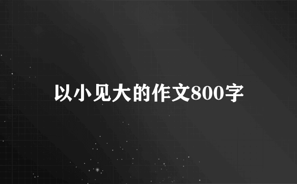 以小见大的作文800字