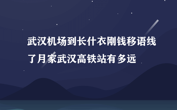 武汉机场到长什衣刚钱移语线了月家武汉高铁站有多远