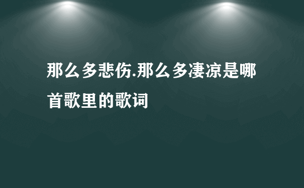 那么多悲伤.那么多凄凉是哪首歌里的歌词