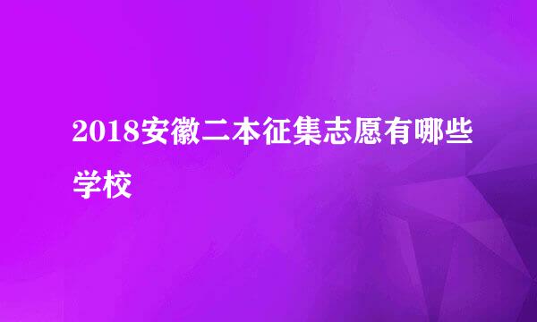 2018安徽二本征集志愿有哪些学校