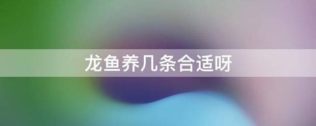 龙来自鱼养几条合适呀