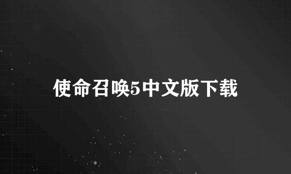 使命召唤5中文版下载