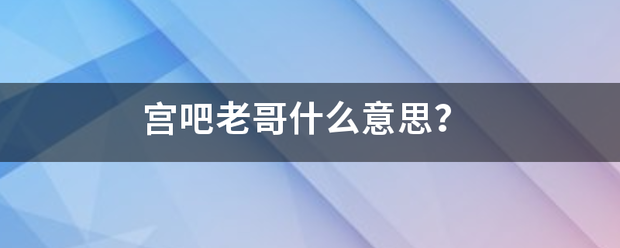 宫吧老哥什么意思？