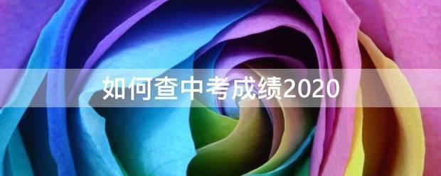 如何查中考济核战排远成绩2020