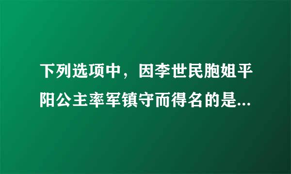 下列选项中，因李世民胞姐平阳公主率军镇守而得名的是____。（出题：央视《中国地名大会》节目组）