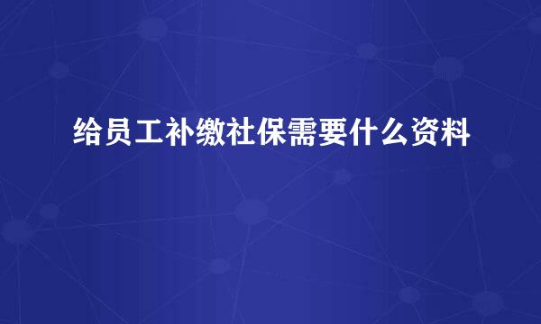 给员工补缴社保需要什么资料