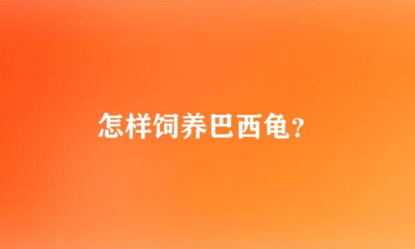 怎样饲养巴西龟？