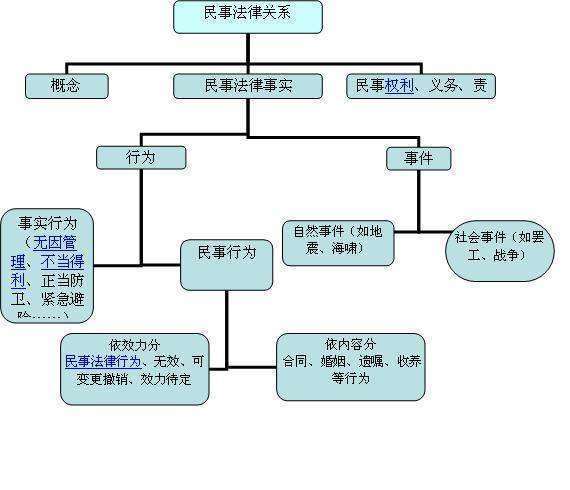 民事法律关系的主体的主体特征