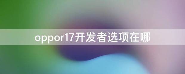 oppor17开发者选项在哪