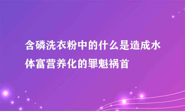 含磷洗衣粉中的什么是造成水体富营养化的罪魁祸首