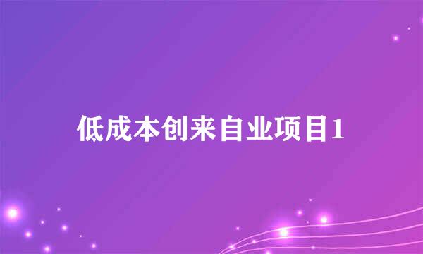 低成本创来自业项目1