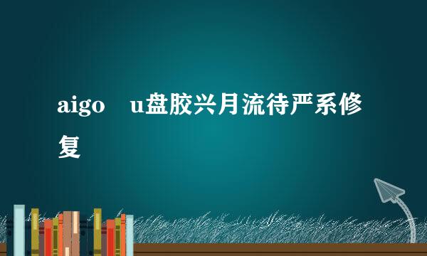 aigo u盘胶兴月流待严系修复