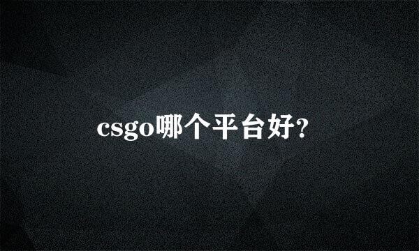 csgo哪个平台好？