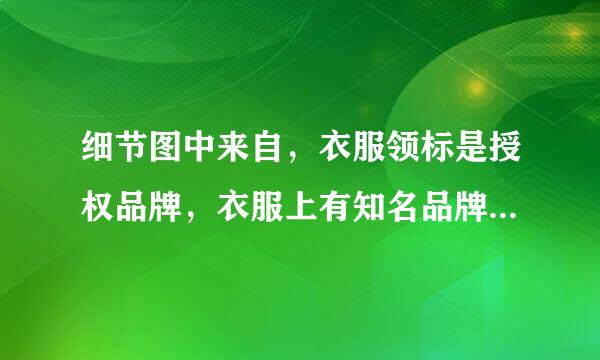 细节图中来自，衣服领标是授权品牌，衣服上有知名品牌的品牌字样，属于哪类违规？