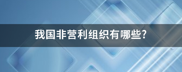 我国非营利组织有哪些?