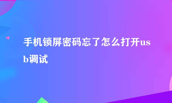 手机锁屏密码忘了怎么打开usb调试