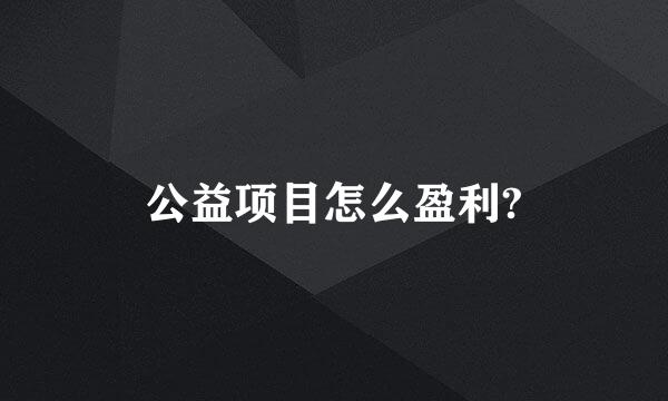 公益项目怎么盈利?