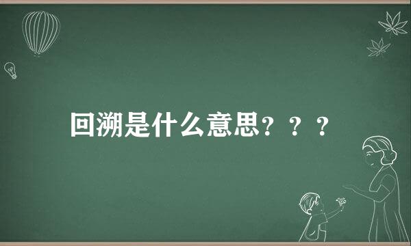 回溯是什么意思？？？