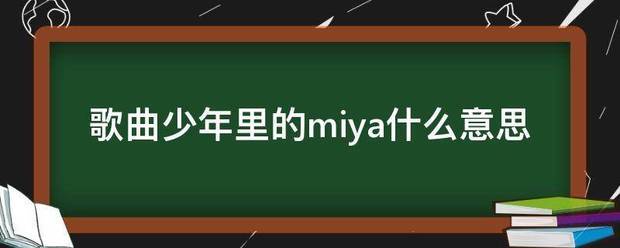 歌曲少年里的miya什么意思