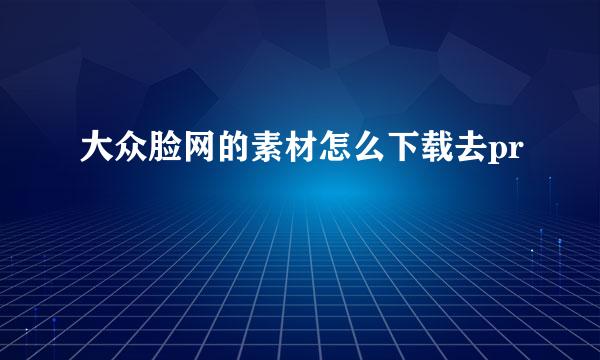 大众脸网的素材怎么下载去pr