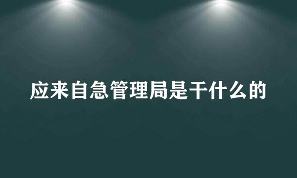 应来自急管理局是干什么的