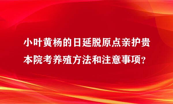 小叶黄杨的日延脱原点亲护贵本院考养殖方法和注意事项？