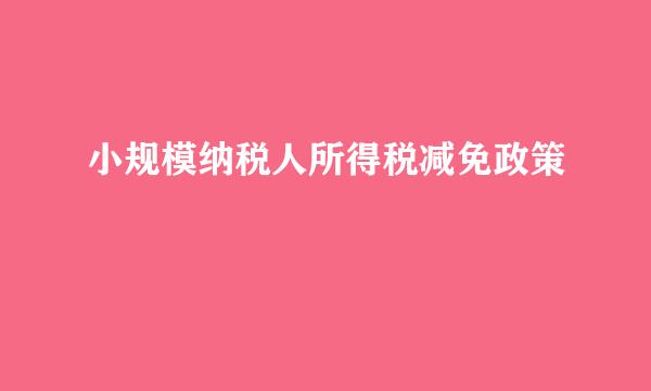 小规模纳税人所得税减免政策