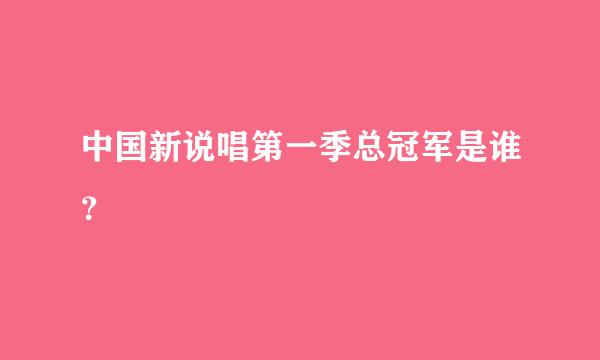 中国新说唱第一季总冠军是谁？