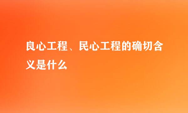 良心工程、民心工程的确切含义是什么