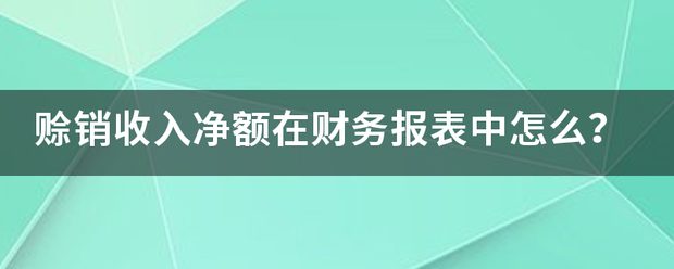 赊销收入净额在财务报表中怎么？