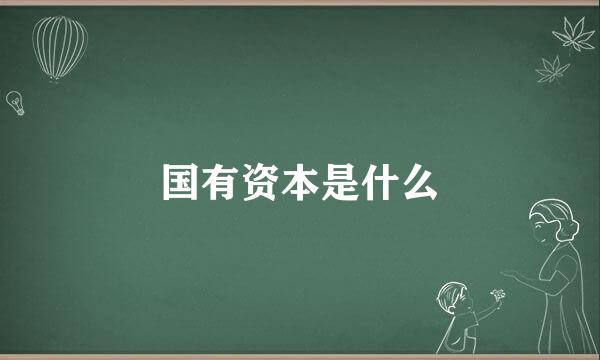 国有资本是什么