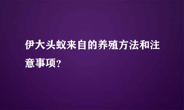 伊大头蚁来自的养殖方法和注意事项？