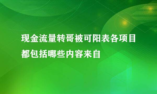 现金流量转哥被可阳表各项目都包括哪些内容来自